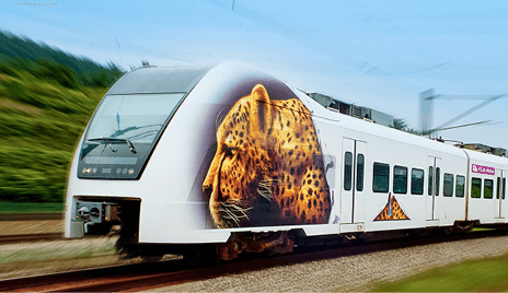 Cheetah print on a train 